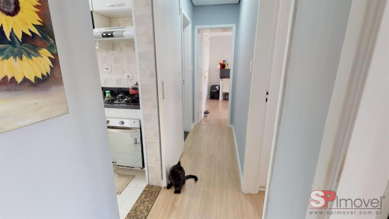 Imagem Apartamento com 3 Quartos à Venda, 110 m² em Santa Cecilia - São Paulo