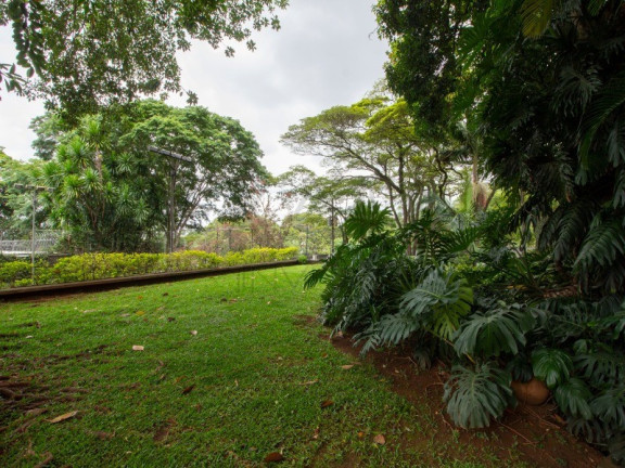 Imagem Casa com 5 Quartos à Venda, 554 m² em Jardim Guedala - São Paulo Imagem Casa com 5 Quartos à Venda, 554 m² em Jardim Guedala - São Paulo