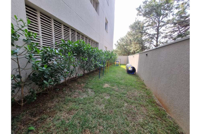 Imagem Apartamento com 3 Quartos à Venda, 76 m² em Vila Suzana - São Paulo