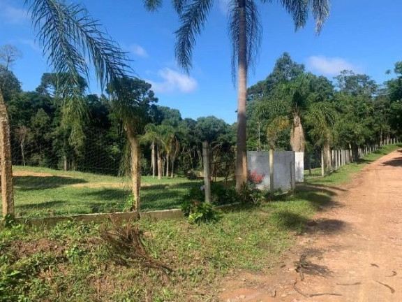 Imagem Imóvel com 3 Quartos à Venda, 32.600 m² em Colônia Retiro - Mandirituba