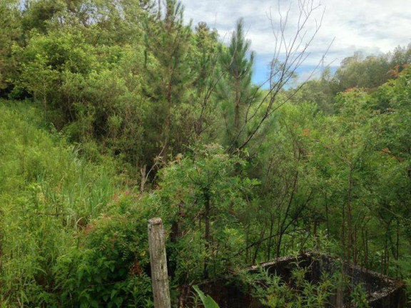 Imagem Terreno à Venda, 80 m² em Santa Felicidade - Curitiba Imagem Terreno à Venda, 80 m² em Santa Felicidade - Curitiba