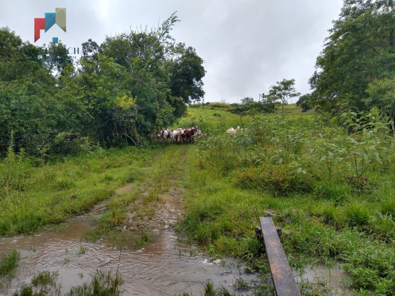 Imagem Imóvel à Venda, 205.700 m² em Centro - Quadra