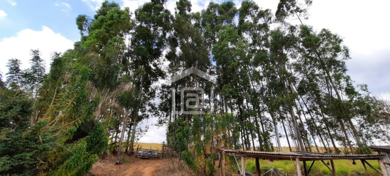 Imagem Imóvel com 2 Quartos à Venda, 2 m² em Faxinal - Botelhos Imagem Imóvel com 2 Quartos à Venda, 2 m² em Faxinal - Botelhos