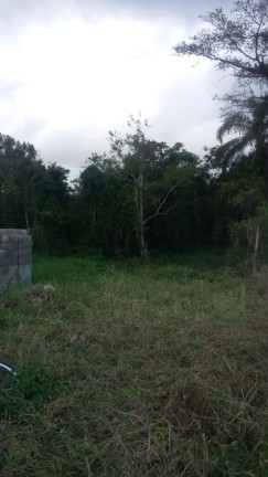 Imagem Terreno à Venda, 150 m² em Nova Itanhaém - Itanhaém