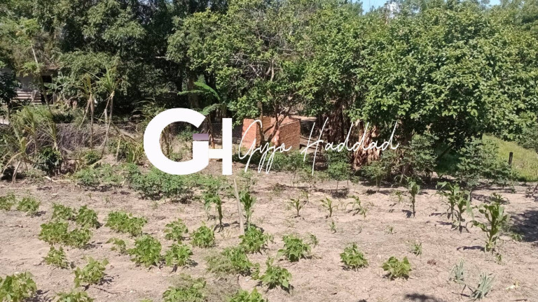 Imagem Chácara com 1 Quarto à Venda, 4.985 m² em Piedade Imagem Chácara com 1 Quarto à Venda, 4.985 m² em Piedade