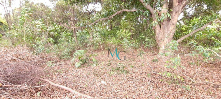 Imagem Imóvel para Alugar, 2.400 m² em Campo Grande - Rio De Janeiro Imagem Imóvel para Alugar, 2.400 m² em Campo Grande - Rio De Janeiro