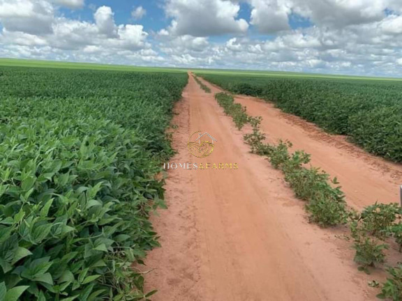 Imagem Imóvel com 3 Quartos à Venda, 16.943 m² em Zona Rural - Primavera Do Leste Imagem Imóvel com 3 Quartos à Venda, 16.943 m² em Zona Rural - Primavera Do Leste