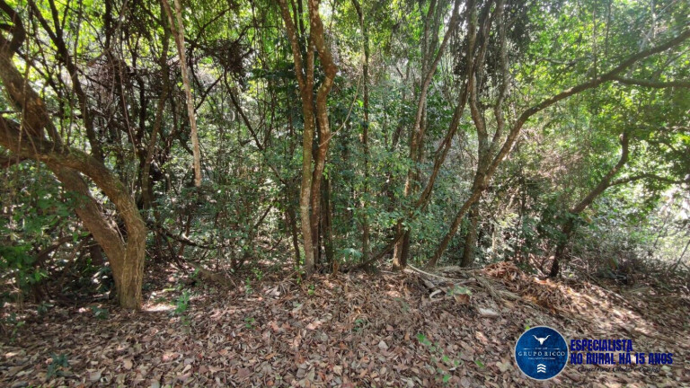 Imagem Chácara à Venda, 2 m² em Zona Rural - Hidrolândia