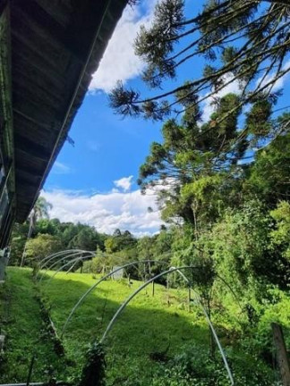 Imagem Imóvel com 3 Quartos à Venda, 51.000 m² em Campo Largo Da Roseira - São José Dos Pinhais