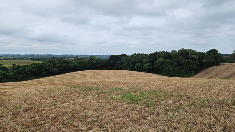 Imagem Terreno à Venda, 84.700 m² em Guajuvira - Araucaria Imagem Terreno à Venda, 84.700 m² em Guajuvira - Araucaria