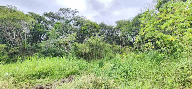 Imagem Terreno à Venda, 7.000 m² em Chácaras Lúcel - Itanhaém Imagem Terreno à Venda, 7.000 m² em Chácaras Lúcel - Itanhaém