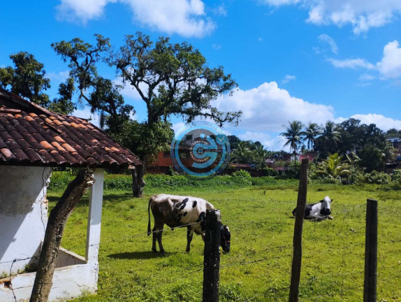 Terreno à Venda, 9.489 m² em Capibaribe - São Lourenço Da Mata