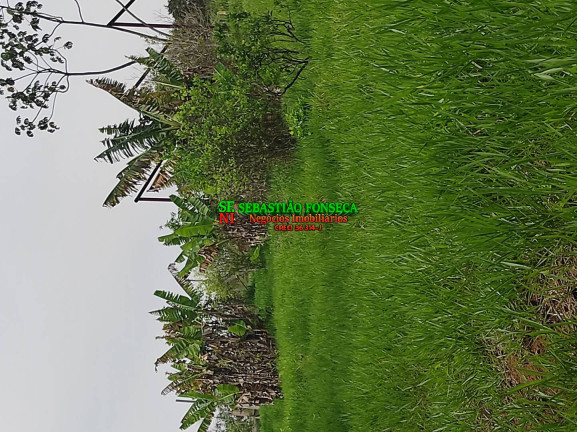 Imagem Chácara à Venda, 20.000 m² em área Rural De Caçapava - Caçapava Imagem Chácara à Venda, 20.000 m² em área Rural De Caçapava - Caçapava