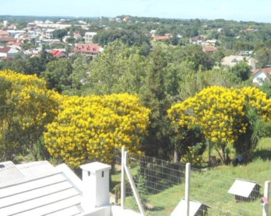 Imagem Casa com 4 Quartos à Venda, 284 m² em Pousada Da Neve - Nova Petrópolis