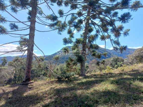 Imagem Imóvel à Venda, 45.900 m² em Bairro Da Estaca - Itamonte