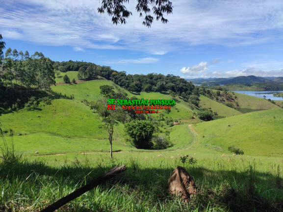 Imagem Chácara à Venda, 20.000 m² em Centro - Paraibuna