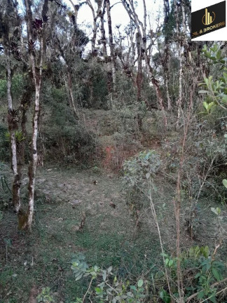 Imagem Imóvel à Venda, 20.000 m² em Ipê - São José Dos Pinhais Imagem Imóvel à Venda, 20.000 m² em Ipê - São José Dos Pinhais
