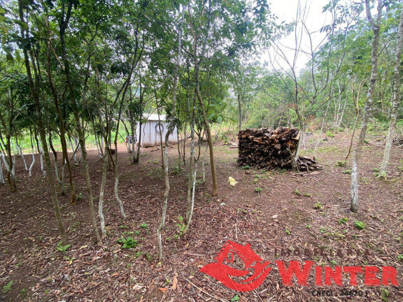 Imagem Chácara à Venda, 63.000 m² em São Roque - Feliz