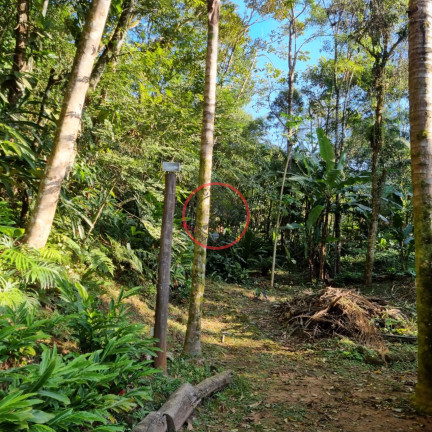 Imagem Terreno à Venda, 400 m² em Boiçucanga - São Sebastião Imagem Terreno à Venda, 400 m² em Boiçucanga - São Sebastião
