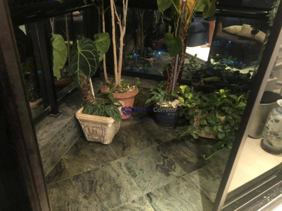 Imagem Apartamento com 3 Quartos à Venda, 105 m² em Vila Regente Feijó - São Paulo