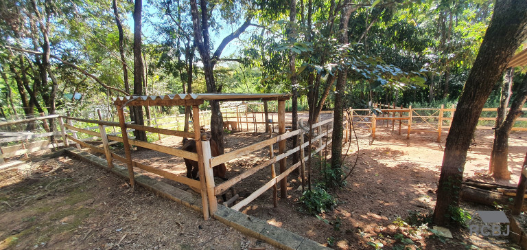 Imagem Imóvel com 3 Quartos à Venda,  em Cidade Jardim - Esmeraldas