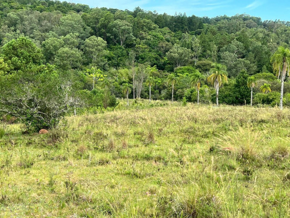 Imagem Chácara à Venda, 3 m² em Morungava - Gravataí Imagem Chácara à Venda, 3 m² em Morungava - Gravataí