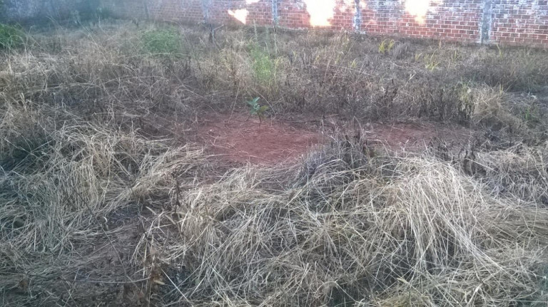 Imagem Terreno à Venda, em Primavera - Novo Hamburgo Imagem Terreno à Venda, em Primavera - Novo Hamburgo