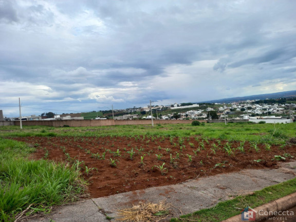 Imagem Terreno à Venda, 364 m² em Alto Dos Caiçaras - Patos De Minas Imagem Terreno à Venda, 364 m² em Alto Dos Caiçaras - Patos De Minas