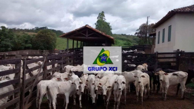 Imagem Fazenda à Venda, 2.560.000 m² em Zona Rural - São Tiago Imagem Fazenda à Venda, 2.560.000 m² em Zona Rural - São Tiago