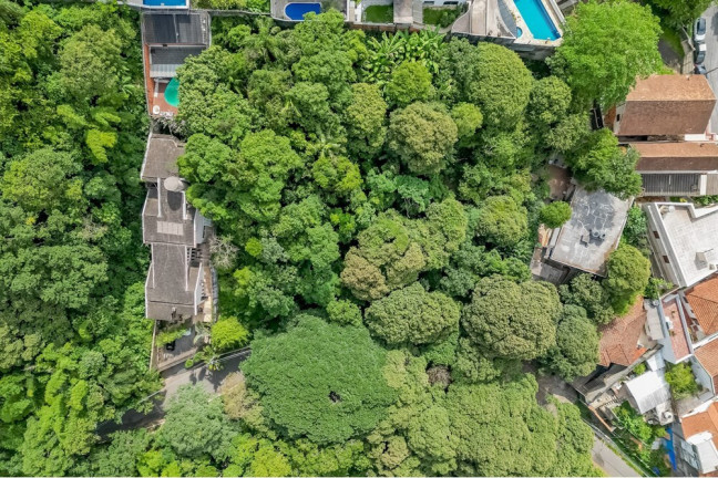 Terreno à Venda, 462 m² em Vila Irmãos Arnoni - São Paulo