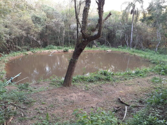 Chácara à Venda, 3.400 m² em Vila Moraes - Piedade
