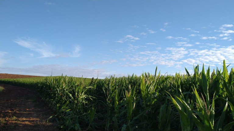 Imagem Fazenda à Venda, 54 m² em Itai - Itaí Imagem Fazenda à Venda, 54 m² em Itai - Itaí