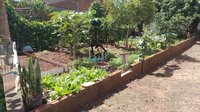 Imagem Casa com 2 Quartos à Venda, 45 m² em Jardim Novo Horizonte - Rolândia Imagem Casa com 2 Quartos à Venda, 45 m² em Jardim Novo Horizonte - Rolândia