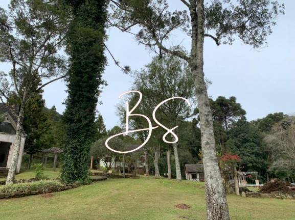Imagem Imóvel com 2 Quartos à Venda, 15.000 m² em Linha Araripe - Gramado