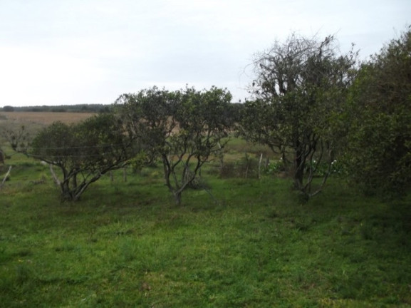 Imagem Chácara com 1 Quarto à Venda, 108.000 m² em Itapuã - Viamão