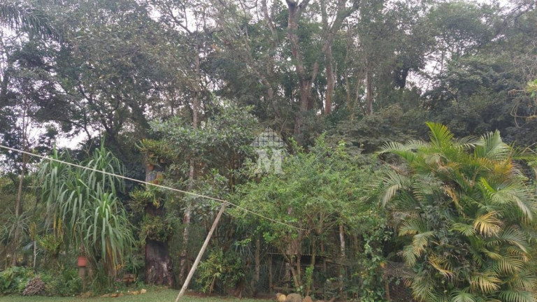 Imagem Chácara com 2 Quartos à Venda, 3.875 m² em Maracanã - Jarinu Imagem Chácara com 2 Quartos à Venda, 3.875 m² em Maracanã - Jarinu