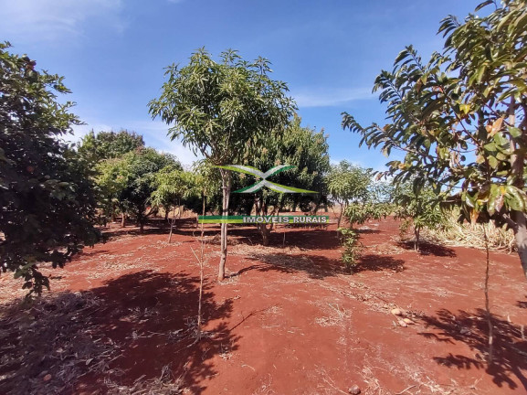 Imagem Chácara à Venda, 2 m² em Centro - Uberlândia Imagem Chácara à Venda, 2 m² em Centro - Uberlândia