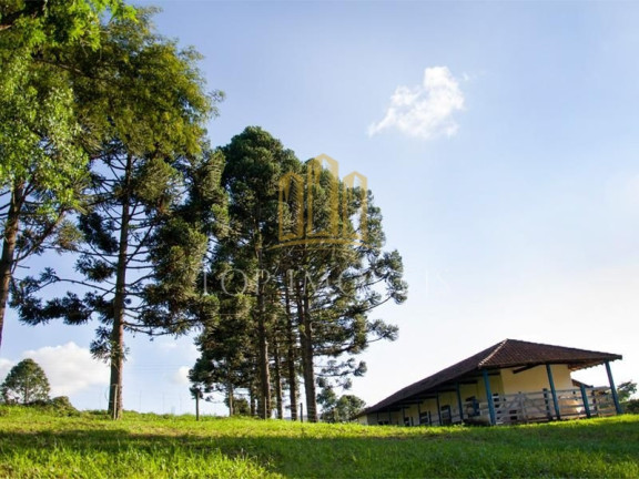 Imagem Terreno em Condomínio à Venda, 1.142 m² em Tapanhão - Jambeiro Imagem Terreno em Condomínio à Venda, 1.142 m² em Tapanhão - Jambeiro