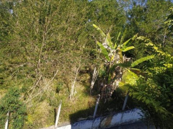 Imagem Terreno à Venda, 531 m² em Pouso Alegre - Santa Isabel Imagem Terreno à Venda, 531 m² em Pouso Alegre - Santa Isabel