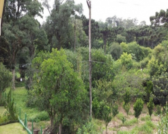Imagem Casa com 4 Quartos à Venda, 308 m² em Linha Imperial - Nova Petrópolis