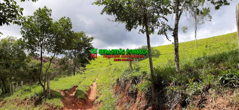 Imagem Chácara à Venda, 24 m² em Centro - São Luíz Do Paraitinga Imagem Chácara à Venda, 24 m² em Centro - São Luíz Do Paraitinga