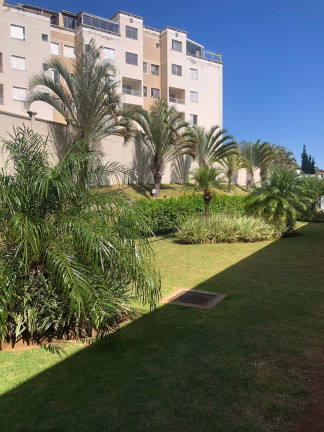 Imagem Apartamento com 3 Quartos à Venda, 60 m² em Jardim Nova Europa - Campinas
