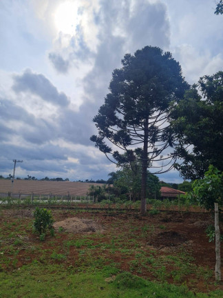 Imagem Chácara com 3 Quartos à Venda, 3.000 m² em Chacaras Reunidas - Pilar Do Sul Imagem Chácara com 3 Quartos à Venda, 3.000 m² em Chacaras Reunidas - Pilar Do Sul