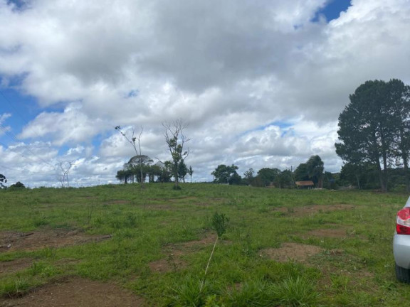 Imagem Terreno à Venda, 5.000 m² em Nações - Fazenda Rio Grande Imagem Terreno à Venda, 5.000 m² em Nações - Fazenda Rio Grande