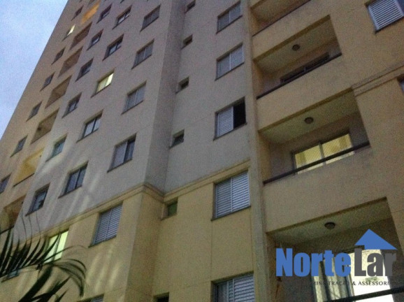 Imagem Apartamento com 2 Quartos à Venda, 50 m² em Vila Roque - São Paulo