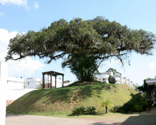 Imagem Imóvel com 3 Quartos à Venda,  em Agronomia - Porto Alegre