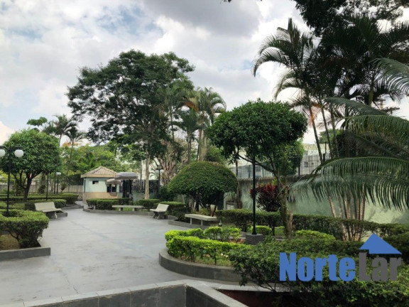 Imagem Apartamento com 2 Quartos à Venda, 70 m² em Vila Amélia - São Paulo