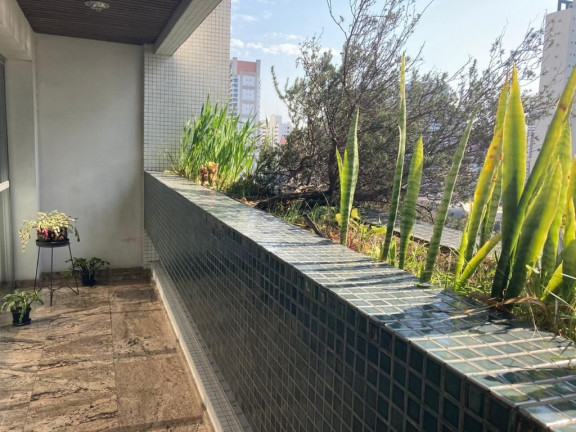 Imagem Apartamento com 3 Quartos à Venda, 179 m² em água Verde - Curitiba