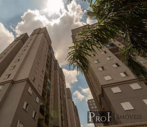 Imagem Apartamento com 3 Quartos à Venda, 66 m² em Vila Metalúrgica - Santo André