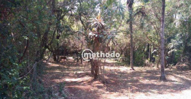 Terreno à Venda, 1.425 m² em Vila Hollândia - Campinas